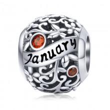 Шарм-кулон "January" срібло 925 проба, кубічний цирконій