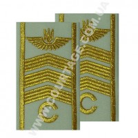 Погони курсантські цивільної авіації на сорочку "С" 3 смуги вишиті золото, герб, білі Куртаж™