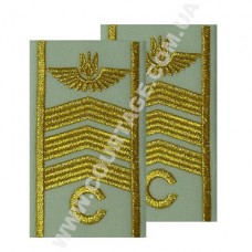 Погоны курсантские гражданской авиации на рубашку "С" 3 полосы вышитые золото, герб, белые Куртаж™